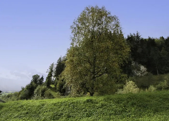 Ratschnhof By Interhome Daire