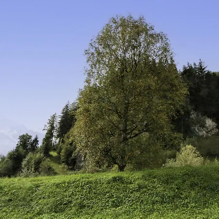 Ratschnhof By Interhome Appartement